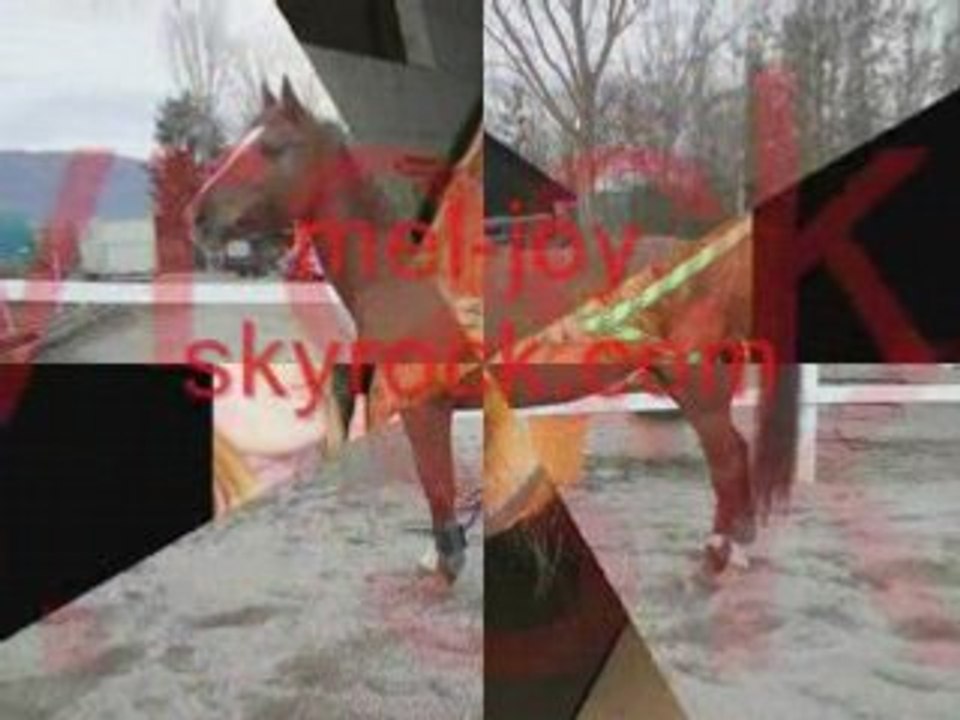 Pub pour des sky