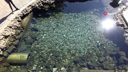 Diyarbakır'da çocuklar yazın sonunu havuzda kutladı