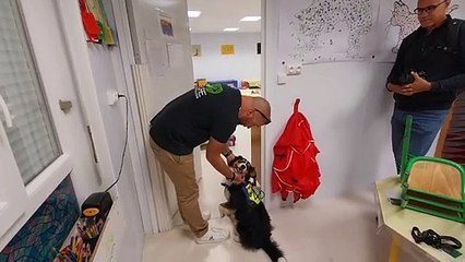 La chienne renifle dans cette école du Pontet. Elle est formée pour détecter les punaises de lit.