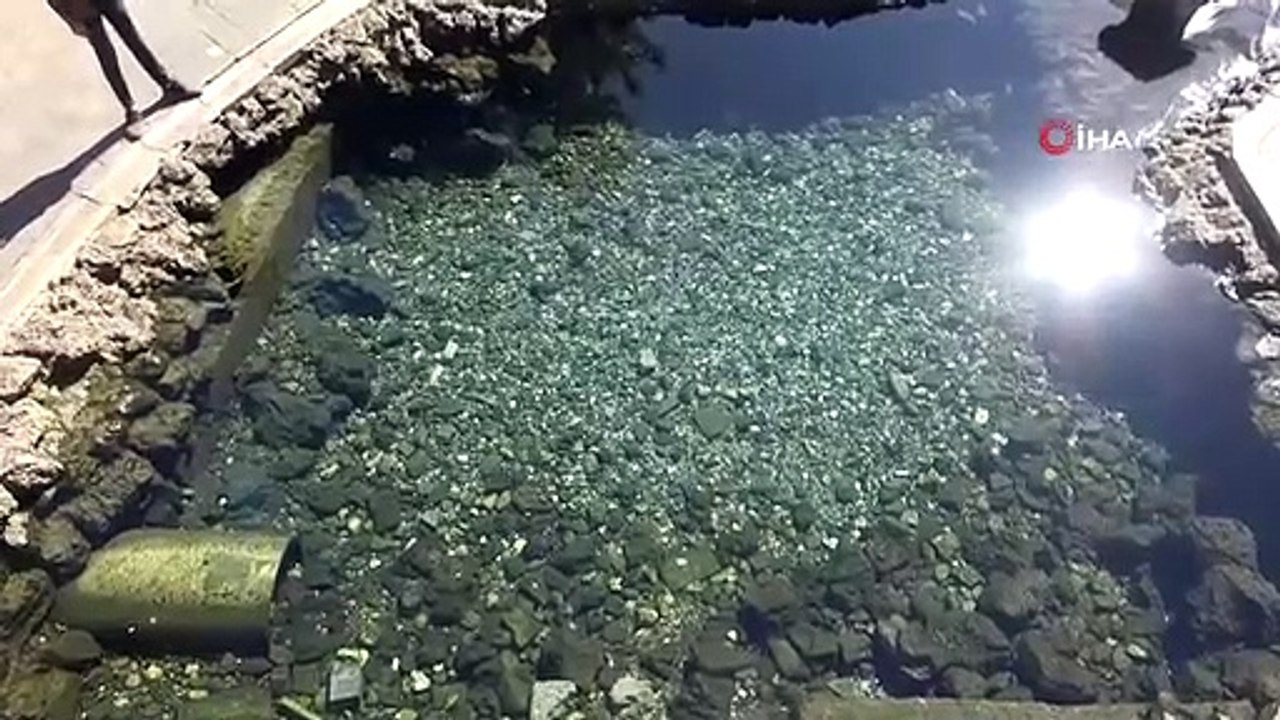 Les enfants de Diyarbakır ont célébré la fin de l'été dans la piscine