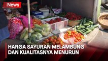 Harga Sayuran dan Cabai di Sleman Melambung, Warga Terpaksa Tetap Beli karena Butuh