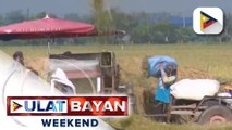 Sapat na suplay ng bigas sa pagpasok ng 2024, tiniyak ng DA