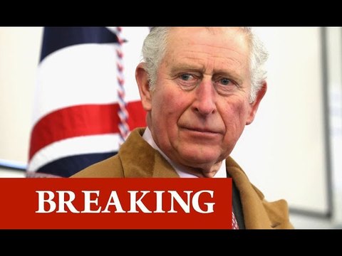 Charles accepted £1M charity donation from Osama bin Laden family - extraordinary claim