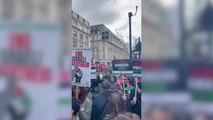Pro Palestinian demonstration in London
