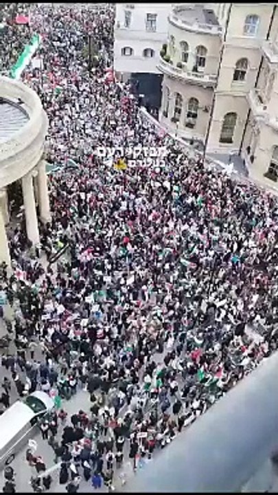 Palestinian Demonstrations in London