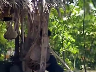 Đất Phương Nam Tập 5 | Phim Việt Nam Hay 2023 🇻🇳