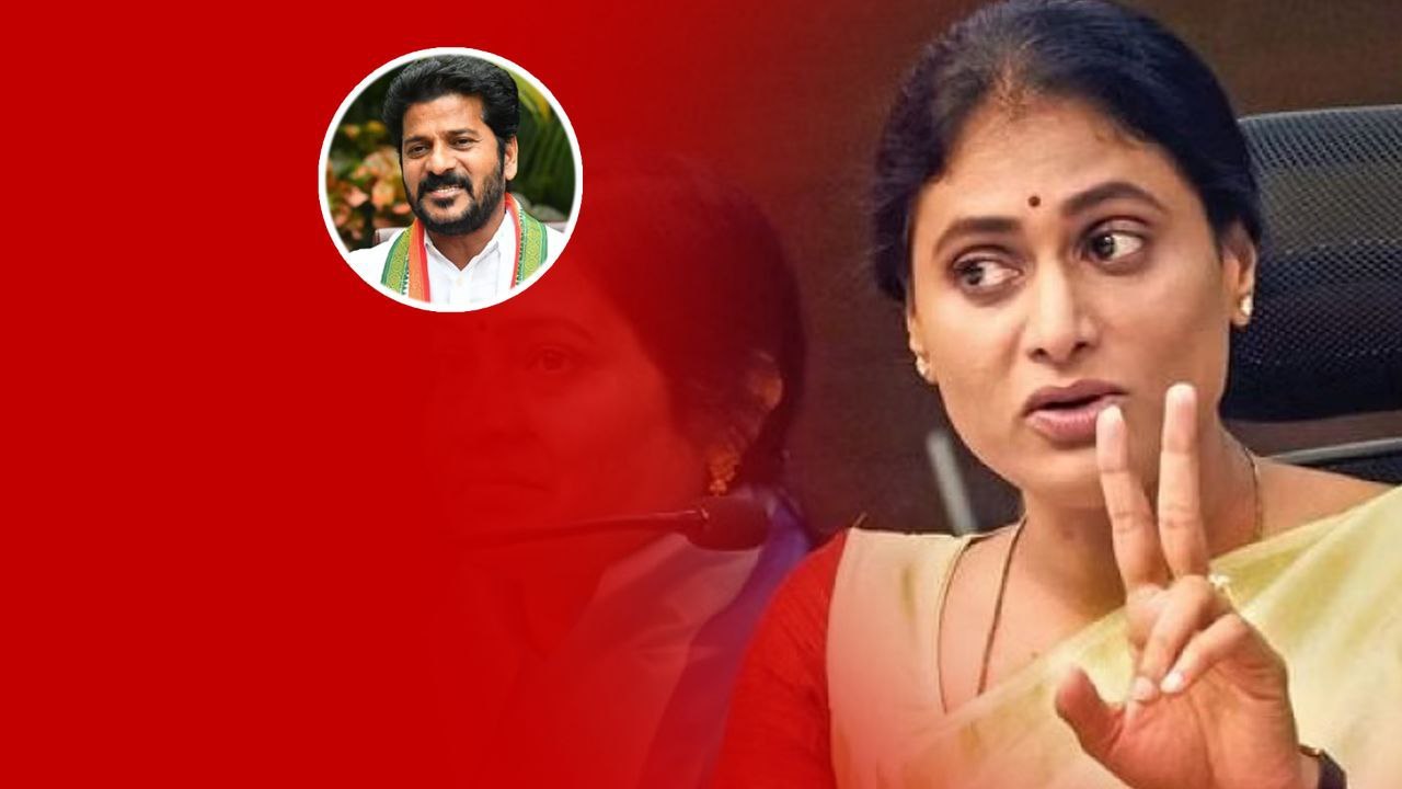Telangana Elections 2023.. రేవంత్ పై రివేంజ్ పోటీతో షర్మిల.. తెల్చేసిన సర్వేలు.. | Telugu OneIndia