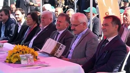 Bolu'nun yeni gözdesi: 'Yağlık ayçiçeği' 3 yılda üretim 2 katına çıktı