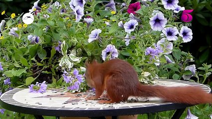 Casas y Cosas - 14 de Otubre de 2023
