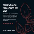 -Jacobo Shemaria Capuano- Fermentación alcohólica del vino: parte (1) (Creado por @JacoboShemariaCapuano)