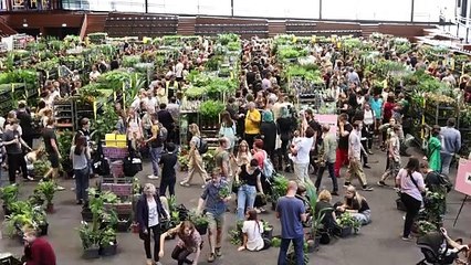 KRAKÓW FESTIWAL ROSLIN