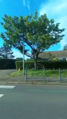 Chartes Bus 1 Direction Barjouville - Pluviers  #france #bustour #bus #frenchcity #francetour  (19)