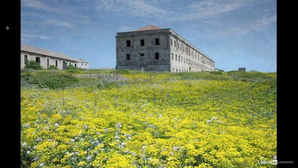 03.Different background ideas