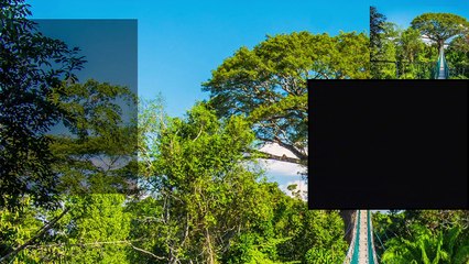 Healthy Mind & Finding Purpose - SGT #003