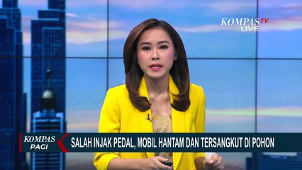 Mobil Tabrak Pohon Usai Drive Thru Makanan Cepat Saji, Pengemudi DIduga Salah Injak Pedal!