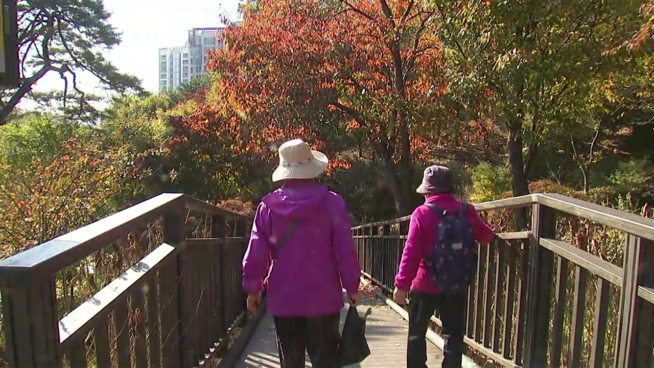 [날씨] 비 그친 뒤 점차 쌀쌀...첫 단풍 내륙 점차 확산 / YTN