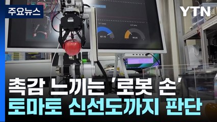사람처럼 촉감 느끼는 '로봇 손'...토마토 신선도까지 판단 / YTN