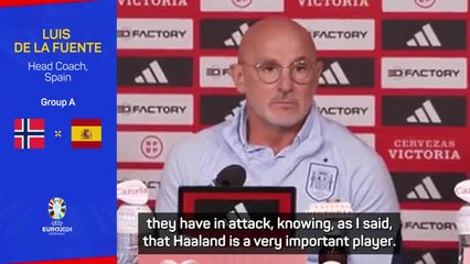 De La Fuente aware Norway aren't a one-man team