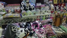 Panda Magic China's National Treasure