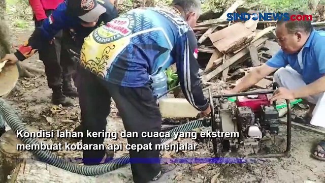 Mengkhawatirkan! Kebakaran Hutan dan Lahan di Palangka Raya Ancam Rumah Warga