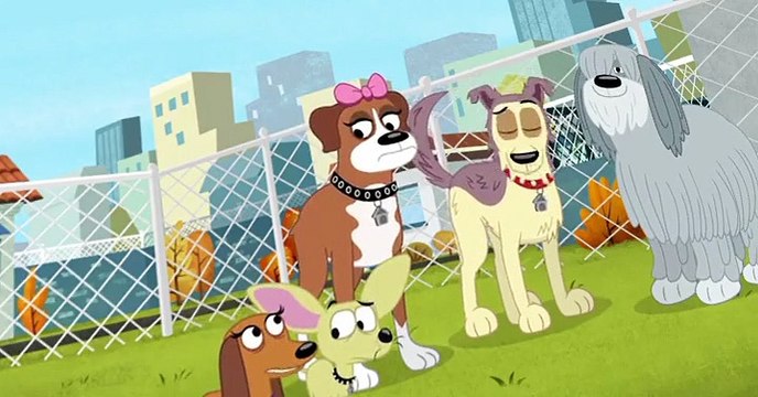 Pound Puppies 2010 Pound Puppies 2010 S02 E011 No Dogs Allowed