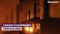 Kandang Ayam Permanen di Baradatu Terbakar, Pemilik Alami Rugi Ratusan Juta