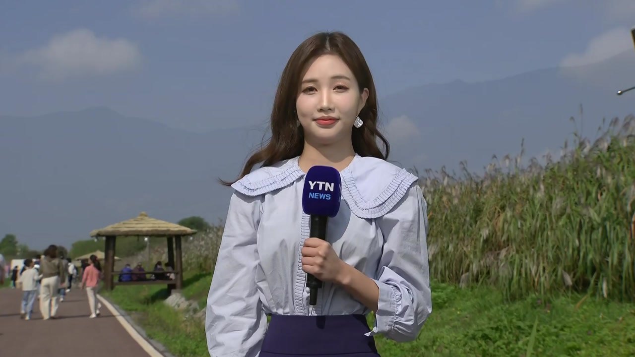 [날씨] 휴일, 쾌청한 하늘...'가을 만끽' 서울억새축제 / YTN