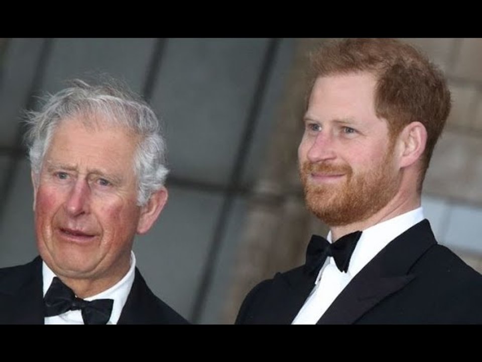 Harry's 'constant barbs' against Charles could 'damage future kings reign'