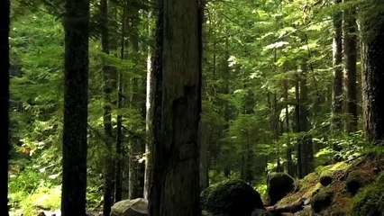 EL PUENTE DE LOS DUENDES (Radio Macabra)