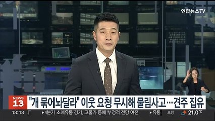 "개 묶어놔 달라" 이웃 요청 무시해 물림 사고…견주에 집행유예