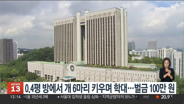 0.4평 방에서 개 6마리 키우며 학대…벌금 100만원