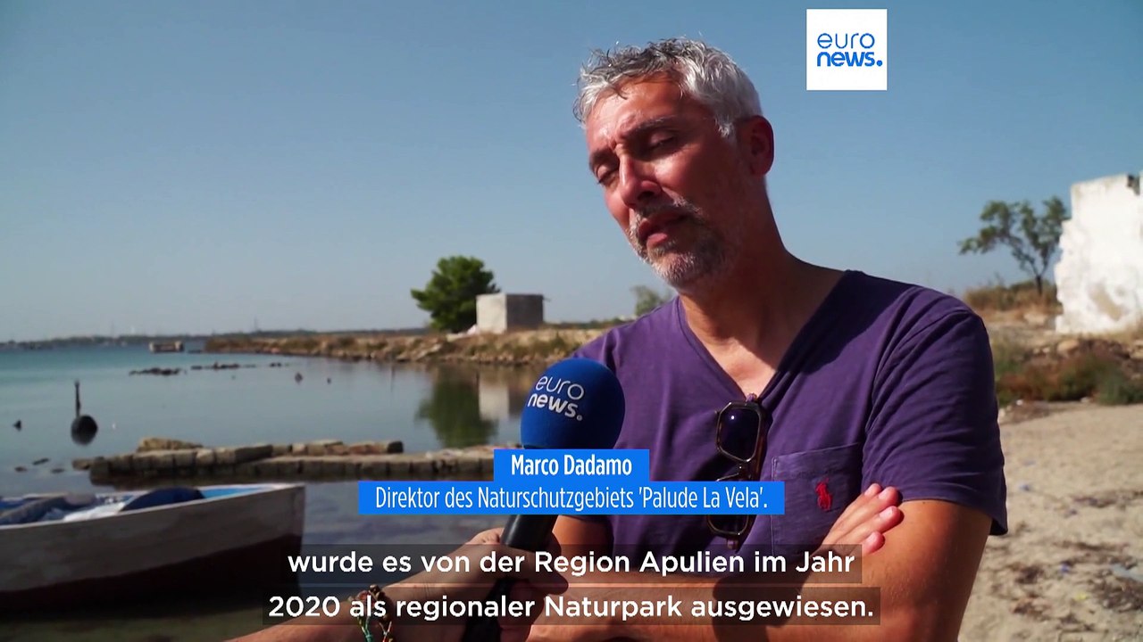 Seepferdchen im 'Mar Piccolo': Die Schatztruhe der Artenvielfalt bangt um ihr Wahrzeichen