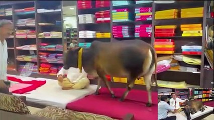 Amazing views of India