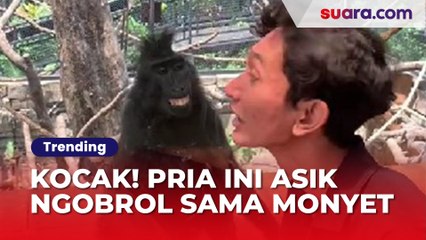 Kocak! Pria Ini Keasyikan Ngobrol dengan Monyet