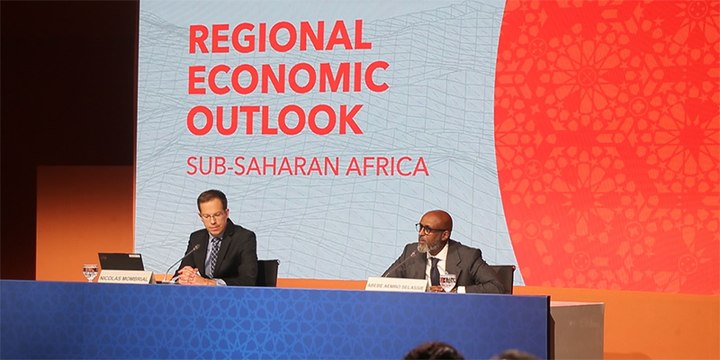 Abebe Aemro Selassie: Le développement observé en Afrique revient en grande partie à l'innovation