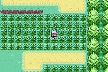 Pokémon Malosse Challenge online multiplayer - gba