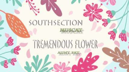 Tremendous Flower (Aunt Pat) - Southsection