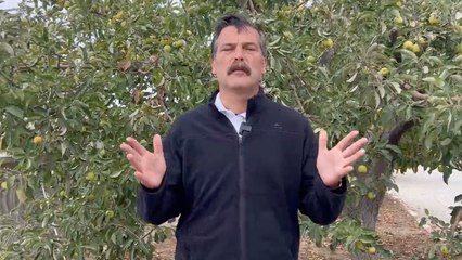 Erkan Baş: Bugün adımlarımızı karanlığa karşı kadınların özgürlüğü için atıyoruz