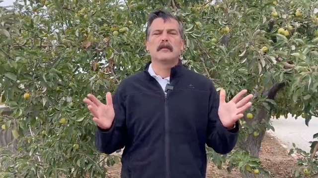 Erkan Baş: Bugün adımlarımızı karanlığa karşı kadınların özgürlüğü için atıyoruz