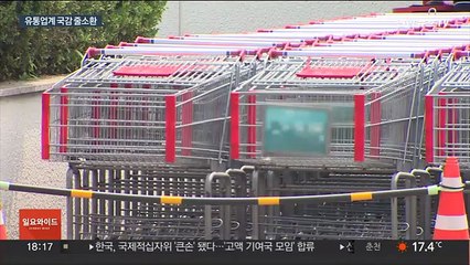 '산재·갑질'…줄줄이 국감장에 서는 유통 CEO들