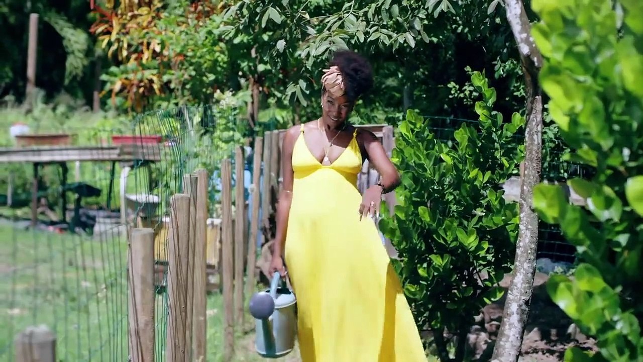 Fanny J % L' Amour et la Passion (ft. Dj Fly)