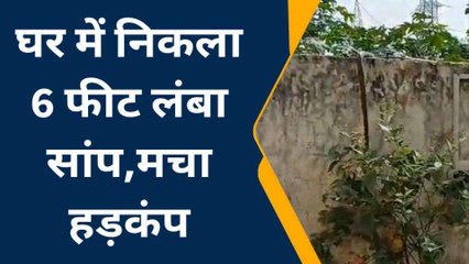 मेरठ: घर में निकला 6 फीट लंबा सांप, मचा हड़कंप, वन विभाग की टीम नहीं पहुंची