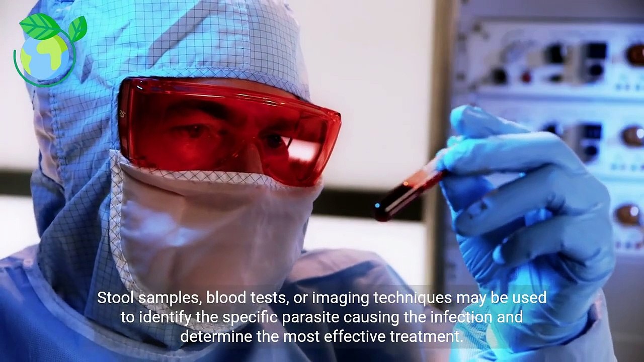 - Understanding Parasite Infections  Causes, Symptoms, Treatment, and Prevention