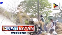 DA, tiwalang magiging sapat ang supply ng bigas sa 2024