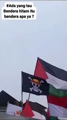 Ada kru mugiwara (topi jerami) bela aksi palestin di 0 km