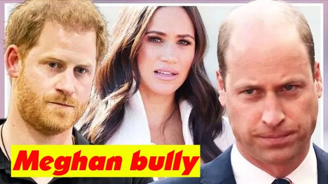 Prince Harry 'slammed phone down on William after hearing Meghan Markle bullying claims'