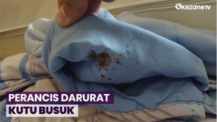 Kutu Busuk Hantui Perancis Akibat Pemanasan Global