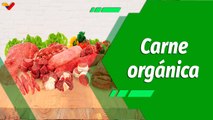 Cultivando Patria | Producción de carne orgánica de alta calidad en la Agropecuaria Nuevo Desafío