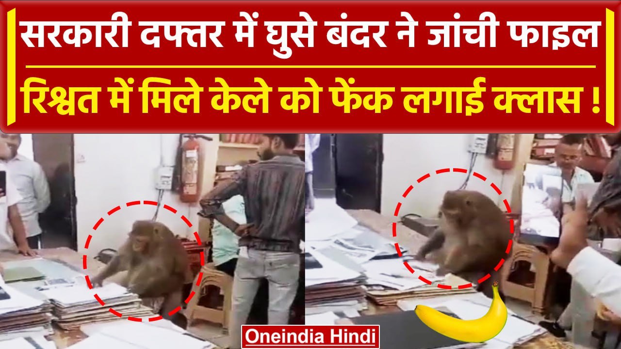 Saharanpur Viral Video: बंदर ने सराकारी दफ्तर में घुसकर देखी फाइल, वायरल हुआ वीडियो | वनइंडिया हिंदी