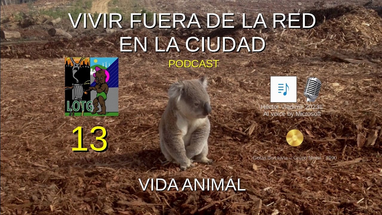 13  ¿Quien habla por los animales?